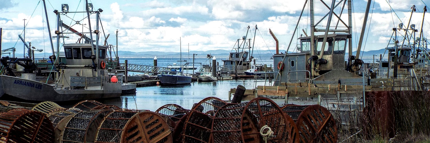 boats at port of peninsula