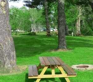 evergreen court fire pit table