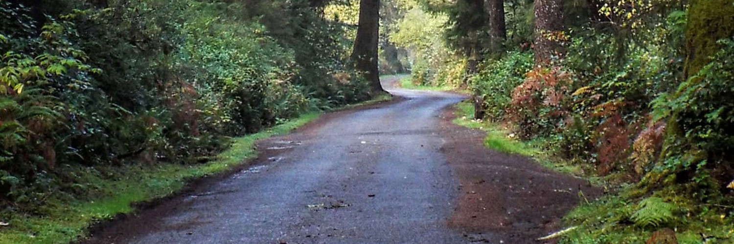 road leading to leadbetter state park