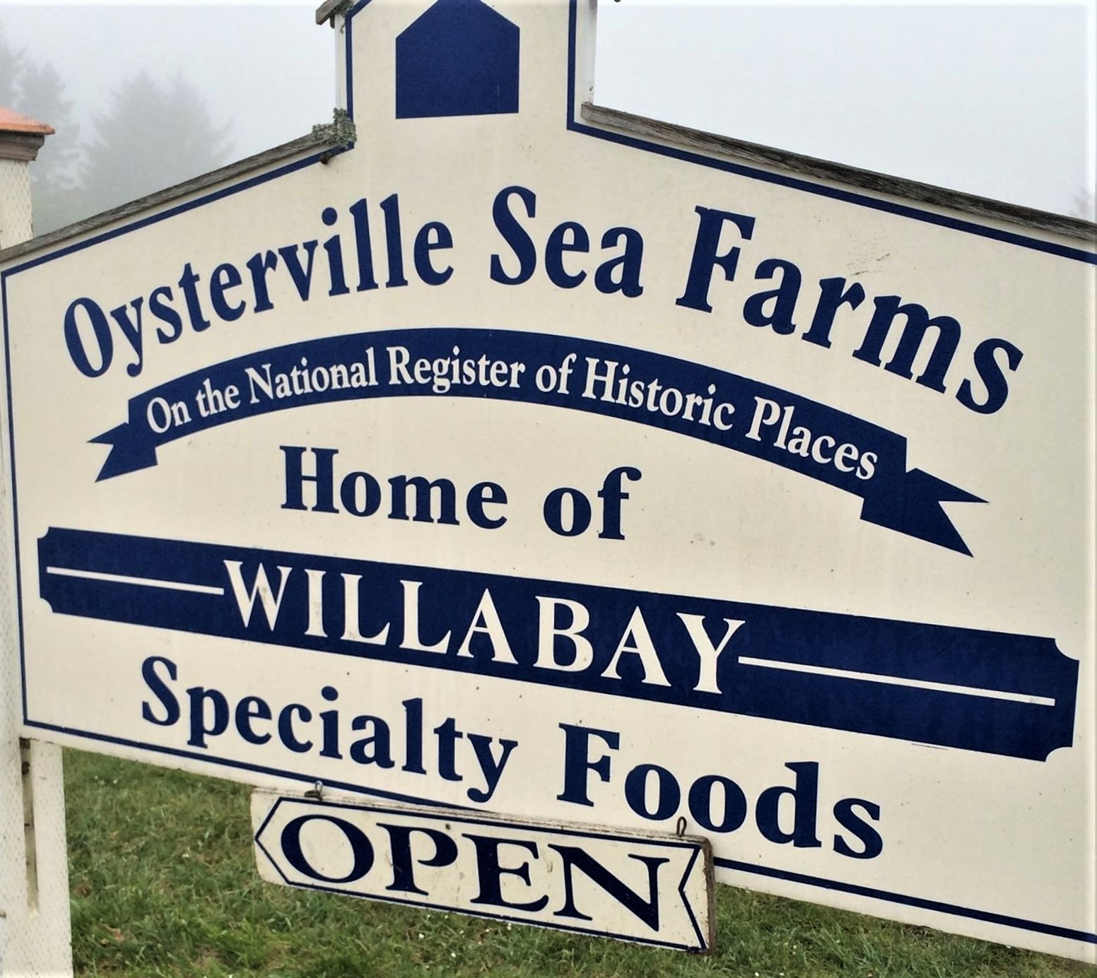 willabay sign